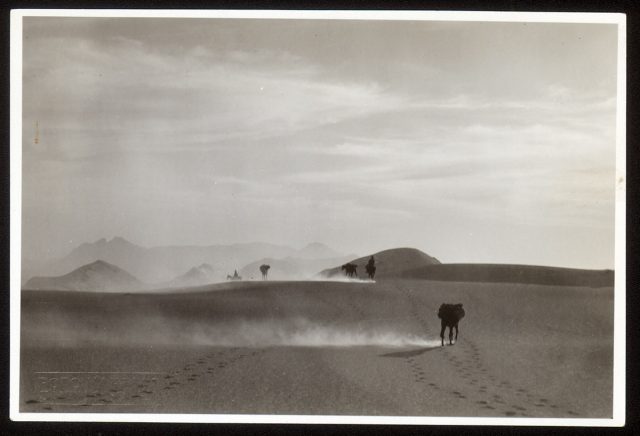 Vista del desierto.