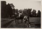 Cabalgata en el campo.