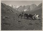 Cabalgata en Cumbre Nevado de Los Leones