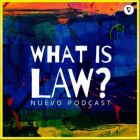 What is Law: Las claves del proceso constitucional con Claudio Fuentes