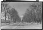 Chile, Santiago Parque Forestal.