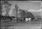 Chile, Santiago Paisaje en Tobalaba.