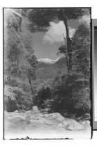 Chile, Peulla – Cerro Techado.