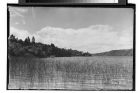 Chile, Concepción.- Laguna San Pedro