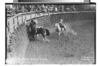 Chile - Santiago - Rodeo a la Chilena