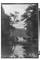 Chile.- Termas de Tolhuaca, Nacimiento río Malleco