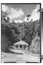 Chile.- Termas de Tolhuaca, Pabellón de los Baños