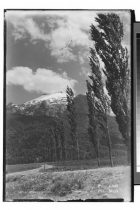 Chile.- Peulla, Cerro techado