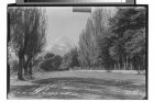 Chile.- La Ensenada V. Osorno