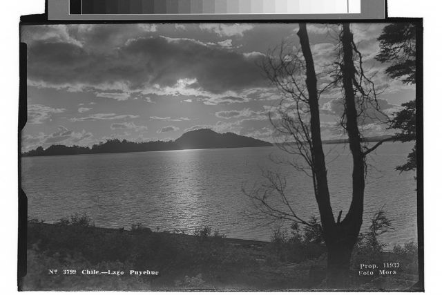 Chile. – Lago Puyehue