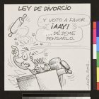 Ley de divorcio