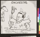 Encuestas