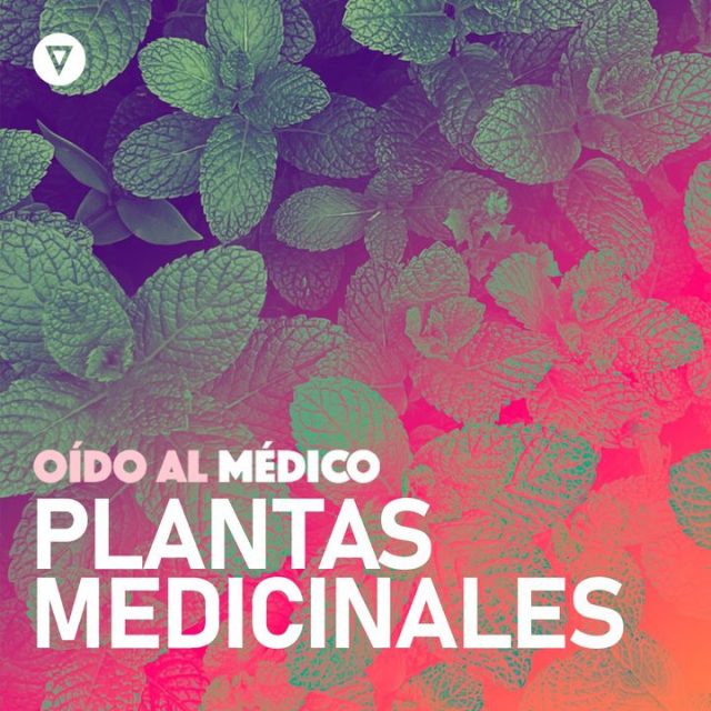 Oído al Médico. Capítulo 29: Mitos y verdades sobre el uso de plantas medicinales
